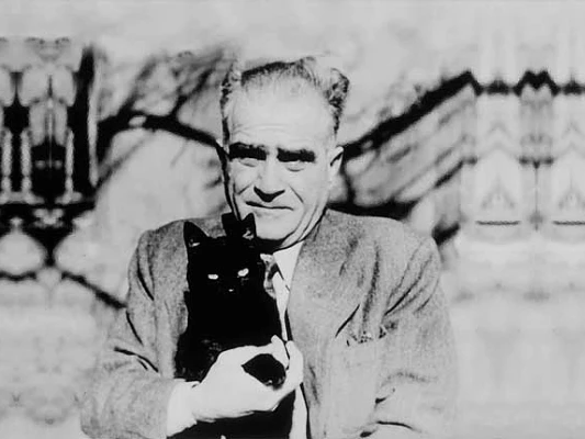 Ahmet Hamdi Tanpınar: Zamanının Ötesinde Bir Yazar