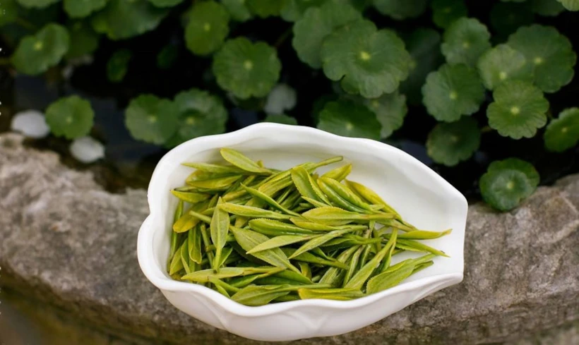 Longjing Çayı / Dragon Well