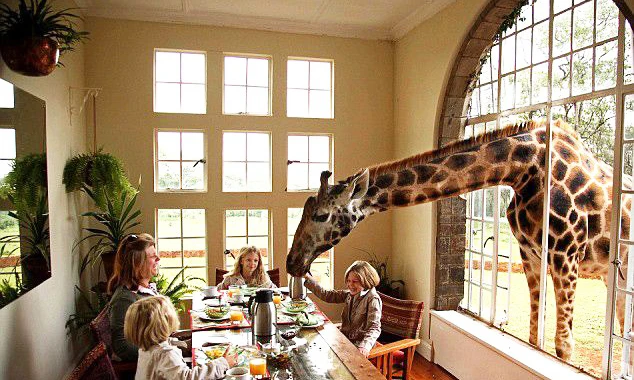 Giraffe Manor