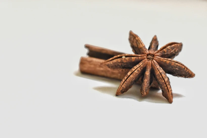 Karanfil
