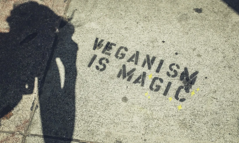 Vegan Beslenme