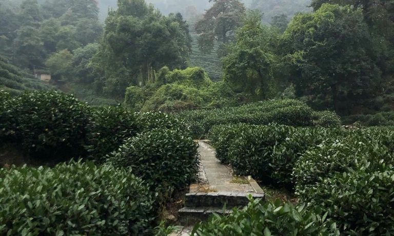 Shililangdang Yolu