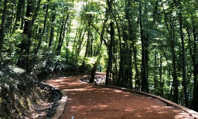 Belgrad Ormanı 