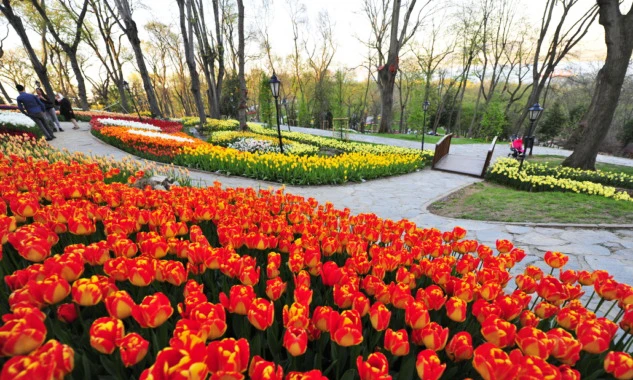 Emirgan