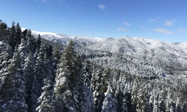 Ilgaz Dağı