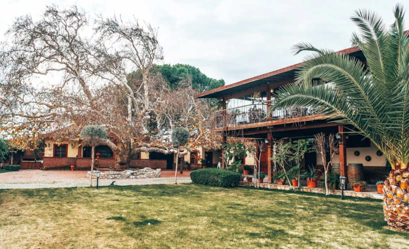 Lucien Arkas ve İsabey Bağları: Güney İzmir'den Bağ Rotası