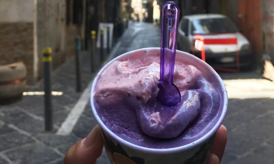 Gelateria Della Scimmia 