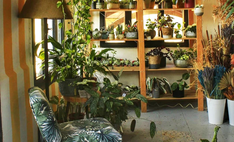 Plantsta Botanik & Cafe: İzmir'in Yemyeşil Botanik Cafesi