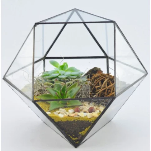 Plantsta Teraryum