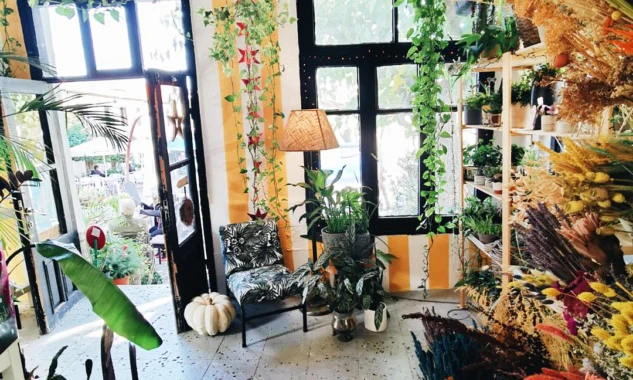 Plantsa Botanik Cafe