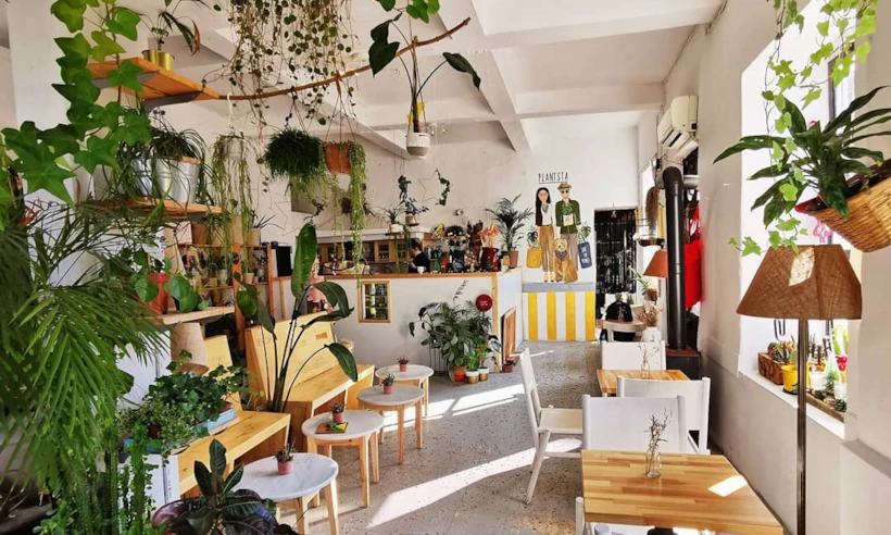 Plantsa Botanik Cafe