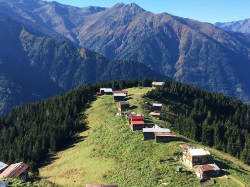 Karadeniz Yaylaları: Yemyeşil Bir Hafta Sonu Rotası