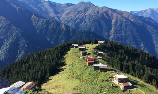 Pokut Yaylası