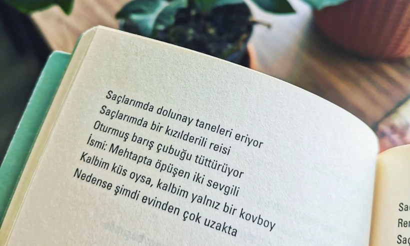 Şiir Kitapları