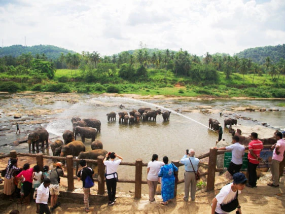 Sri Lanka: Fotoğraf Sanatı İçin Seçilmiş Bir Rota