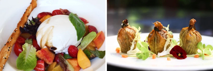 Burrata ve Kabak Çiçeği Dolması