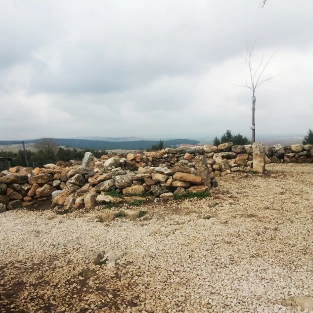 Göbekli Tepe’deki İsimsiz Türbeden