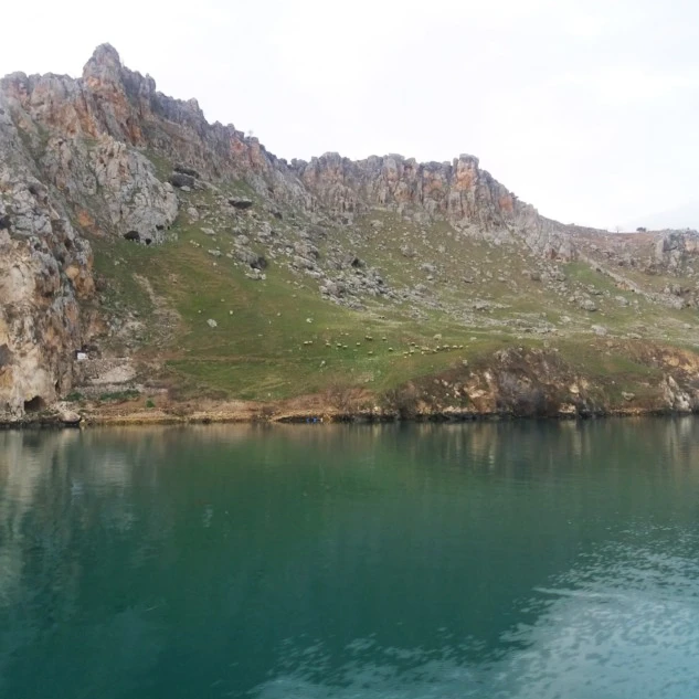 Halfeti 