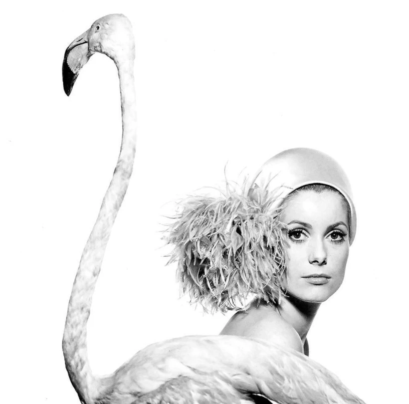 David Bailey_1
