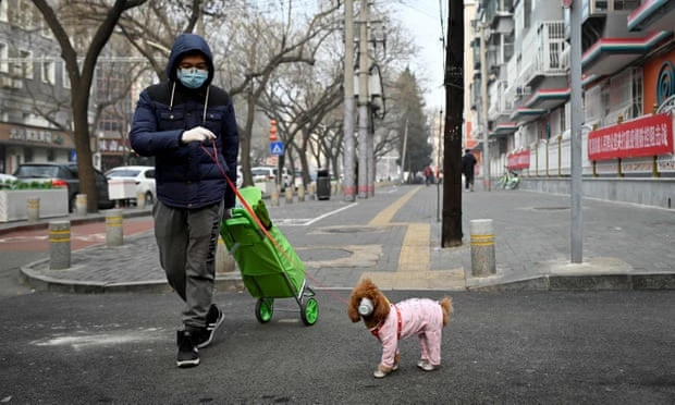 Köpeğiyle birlikte maske takmış bir adam