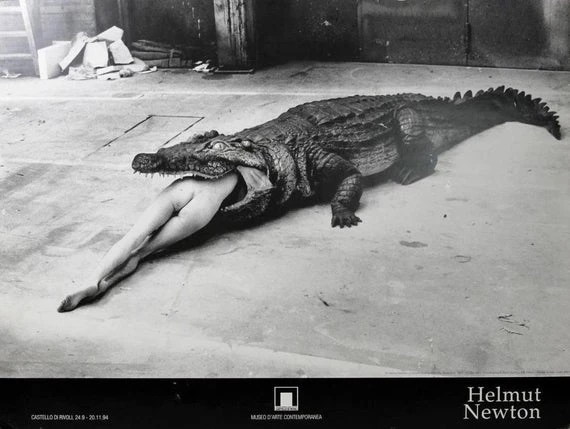 Helmut Newton timsah
