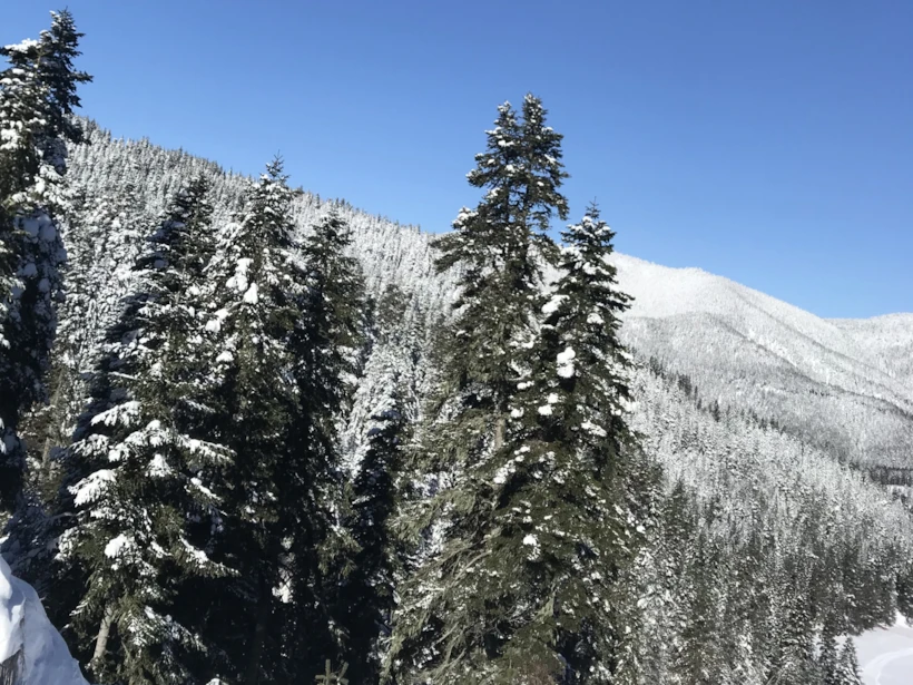 Ilgaz Dağı 