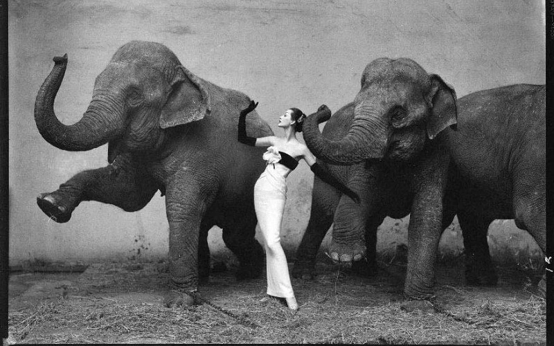 Moda Fotoğrafçılığı: İkonik İsimler ve Ünlü Fotoğrafları