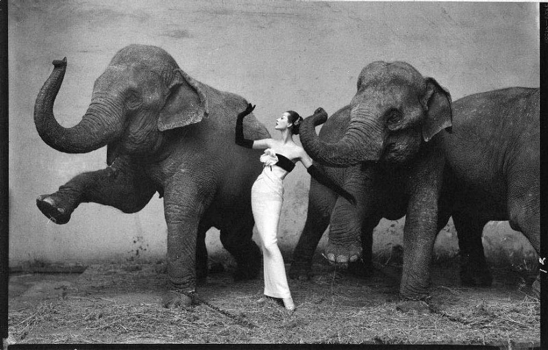 Richard Avedon

