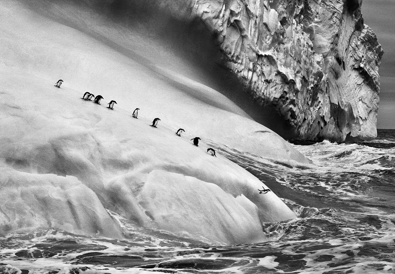 Genesis, Sebastião Salgado
