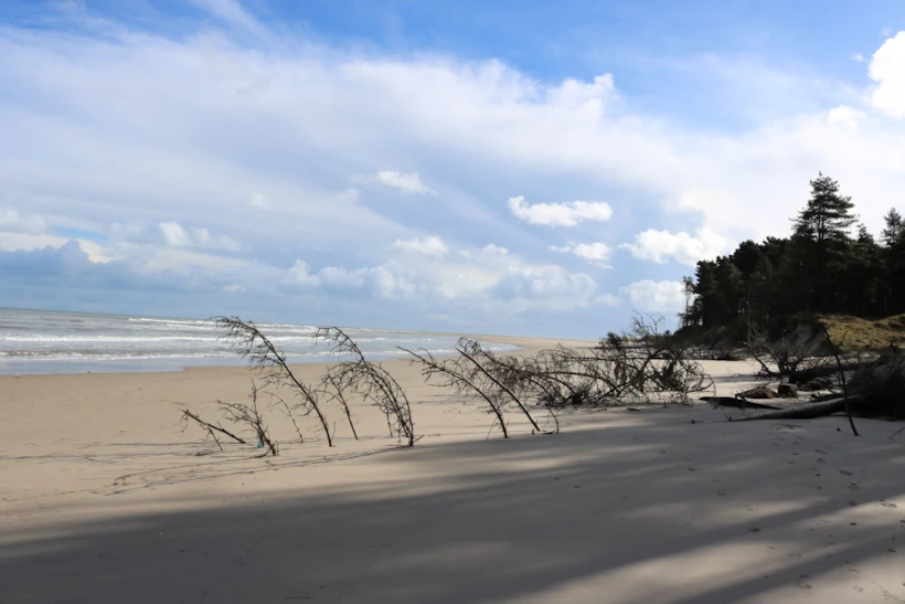 irlanda sahilleri - curracloe beach