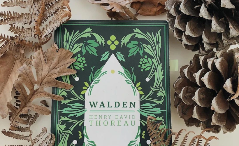Walden: İnsanda Doğaya Kaçma İsteği Uyandıran Bir Kitap