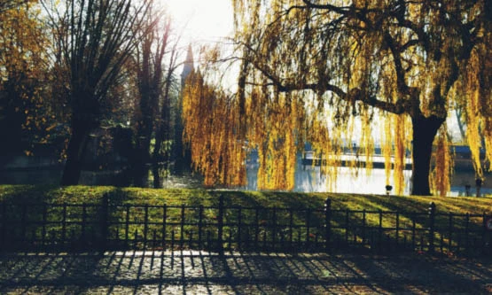  Minnewaterpark