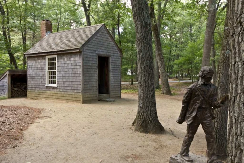  Thoreau'nun Kulübesi 