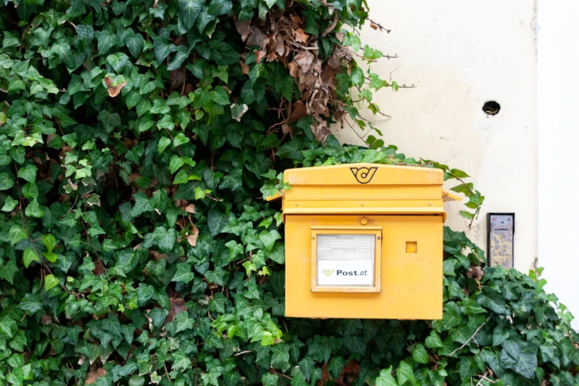 theMagger Newsletter