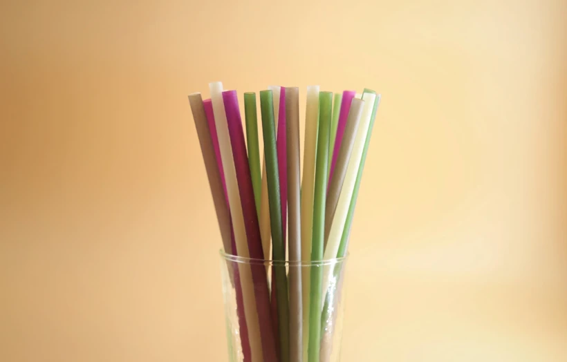 Tek Kullanımlık Plastikler