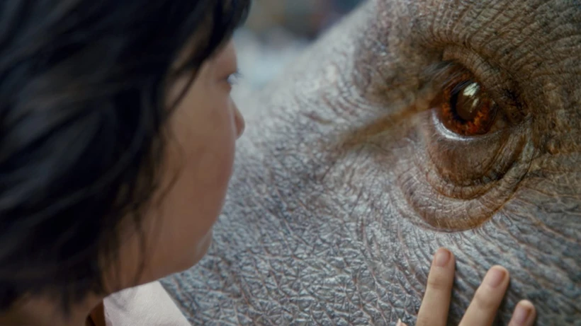 Mija Ve Okja 