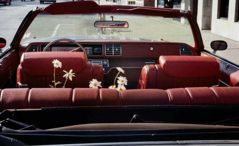 Vivian Maier'in Yolculuğu Üzerine: Taoizm ve Daha Fazlası