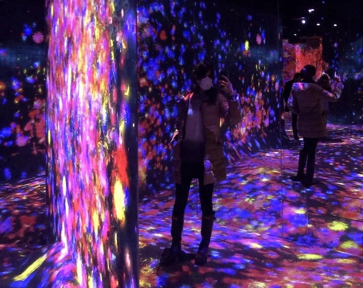 TeamLab Borderless