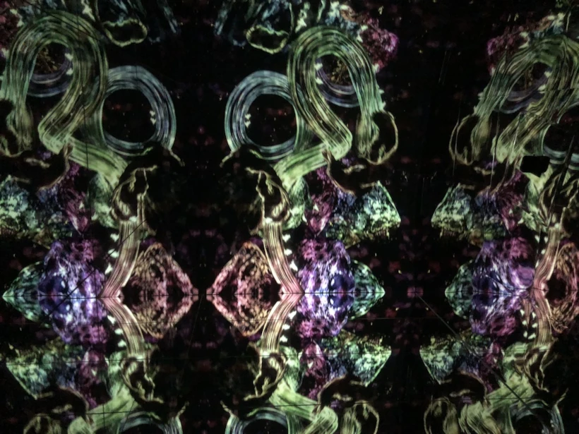 Microcosmoses