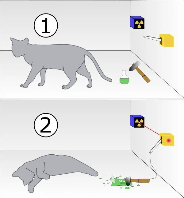Kedi aynı zamanda hem canlı hem ölü olabilir mi?