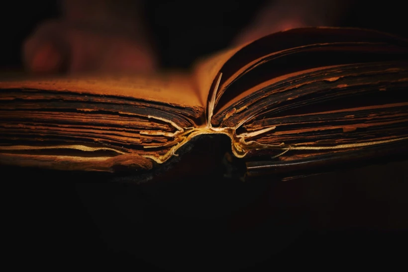 Bibliosmia