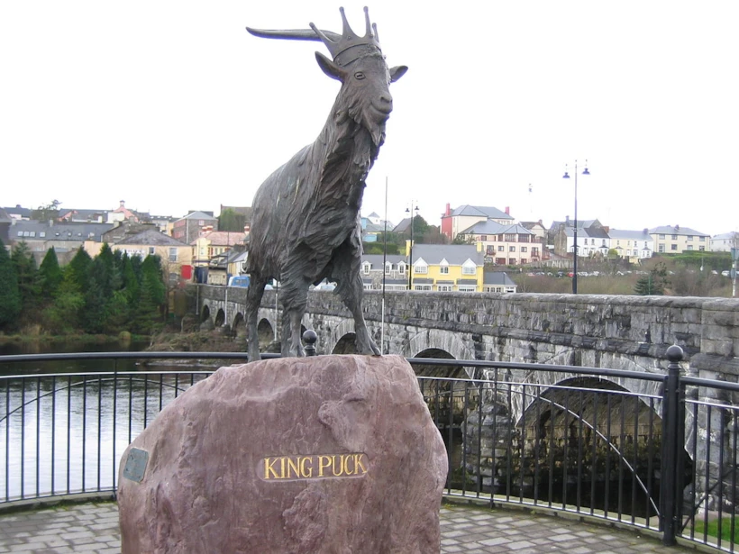 irlanda festivalleri - puck fair