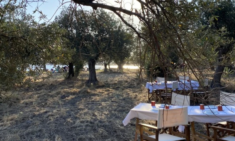 Trata Ayvalık