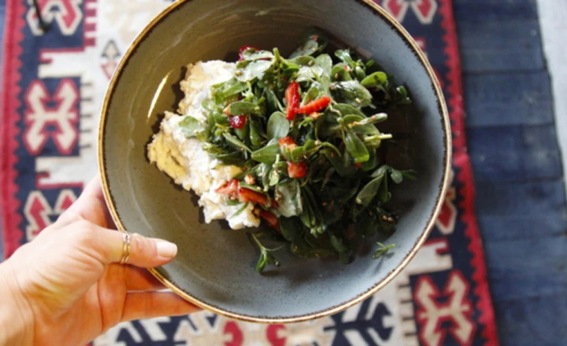 Gastro Tire: Tatmin Edici Bir Gastronomik Deneyim
