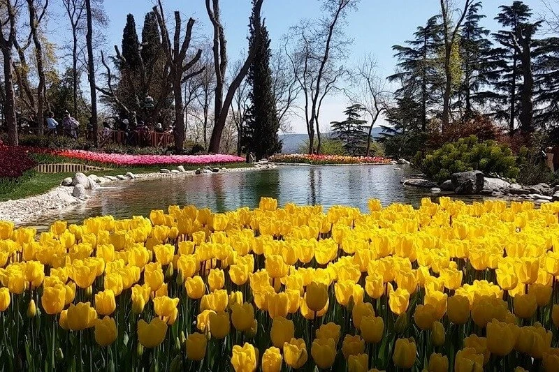 Emirgan Korusu 