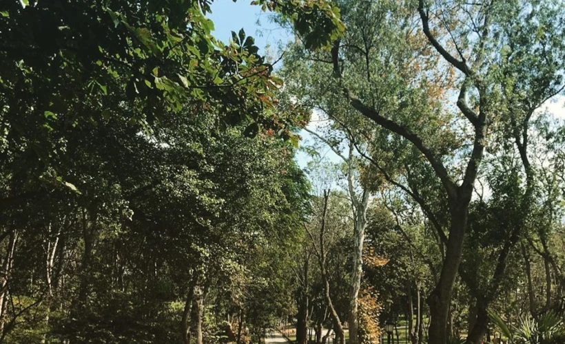 Emirgan Rehberi: Bir Emirgan Sakininin Keşif Rotaları
