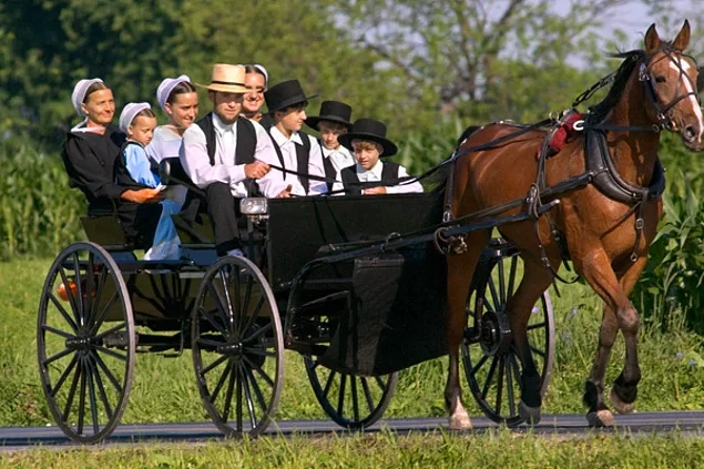 Amish Topluluğu