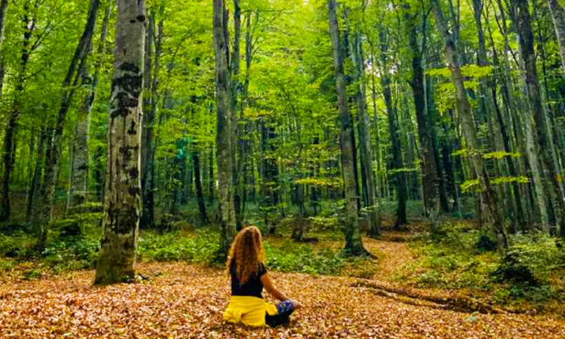 Eriklitepe Tabiat Parkı