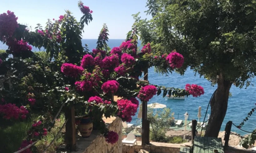  Villa Zeus