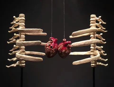 Sarılmanın Anatomisi: Luna Lu'dan, Sarılma Eylemi Üzerine